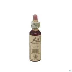 Bach Flower Larch 20 Ml