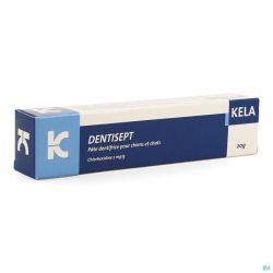 Dentisept Dtf Chien-Chat 20 G