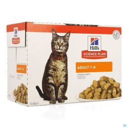 Science Fel Ad Chick 12X 85G