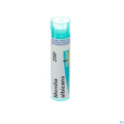 Monilia Albicans 200k Gr 4g Boiron