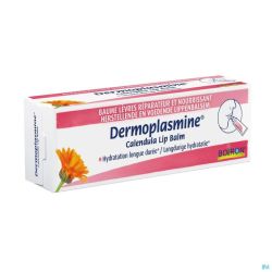 Dermoplasmine Bme Levres