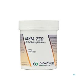 Msm Cap 120 X  750 Mg    Deba