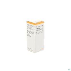 Populus Comp Sr 30 Ml    Heel