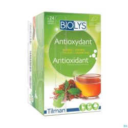 Biolys Rooibos The Vert Sach 24