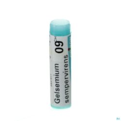 Gelsemium sempervirens  9ch gl boiron
