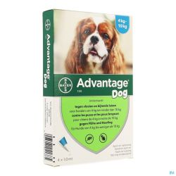 Advantage 100 Chien 4 X 1,-Ml