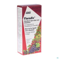Floradix 250 Ml