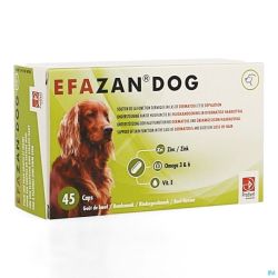 Efazan Cap 45 Chien        Vt