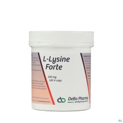 L-Lysine Fort Cap 120