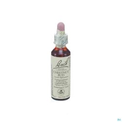 Bach Flower Chestnut Bud 20Ml