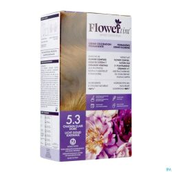 Flowertint Chatain Clair Cendre 5.3 140ml