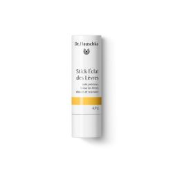 Dr.hauschka stick eclat levres    49g fr