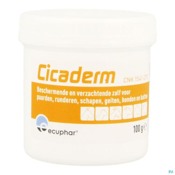 Cicaderm Pom Trayon 100 G  Vt