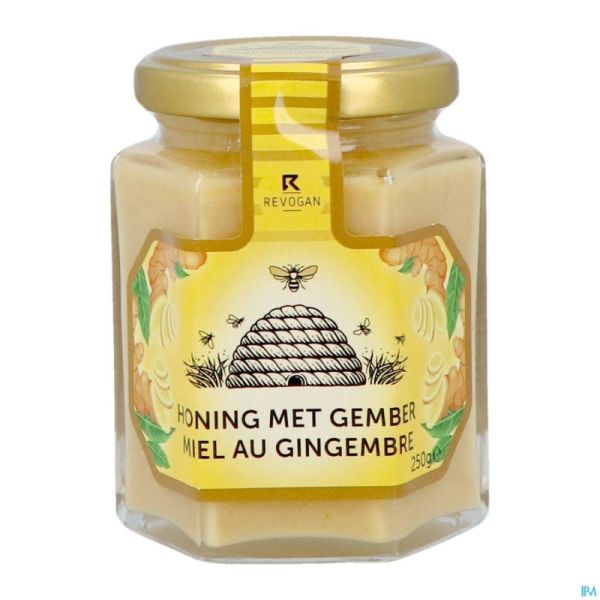 Revogan Miel Gingembre Solide 250g 3074