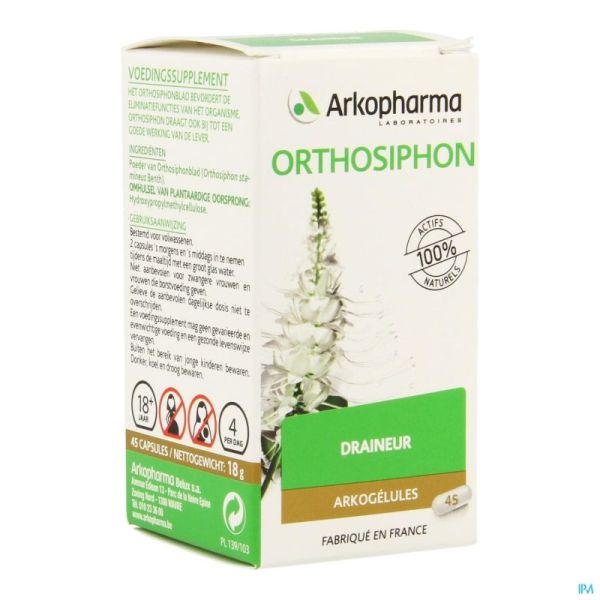 Orthosiphon Gll  45      Arko