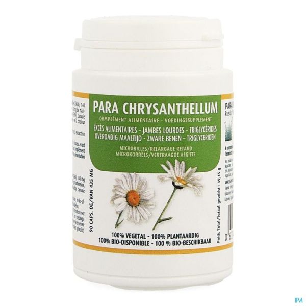 Chrysanthellum Cap 90 Parabol