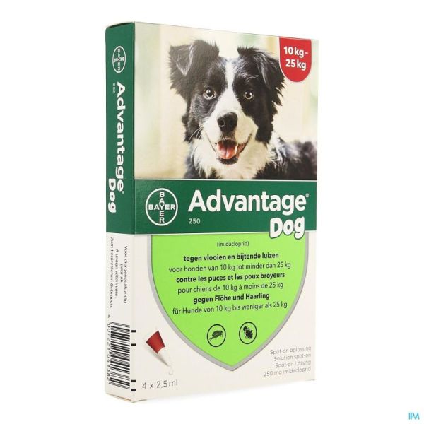 Advantage 250 Chien 4 X 2,5Ml