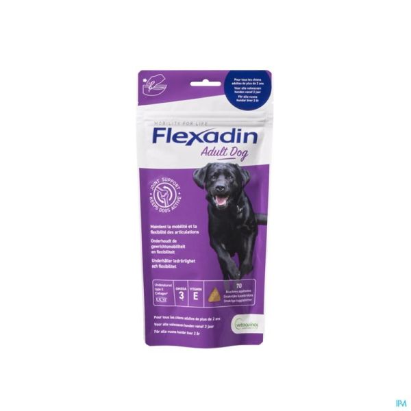 Flexadin Adult Dog