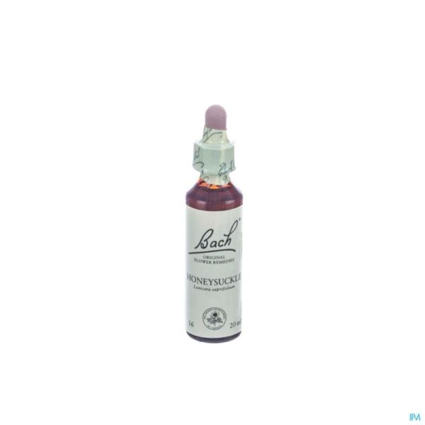 Bach Flower Honeysuckle 20Ml