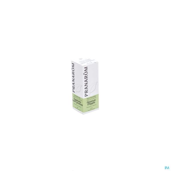 Geranium Egyp He 10 Ml 502 Pr