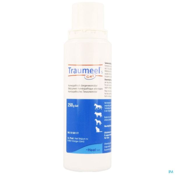 Traumeel S Gel 250 G Vt  Heel